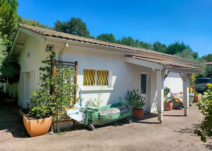 Un Petit Coin De Campagne